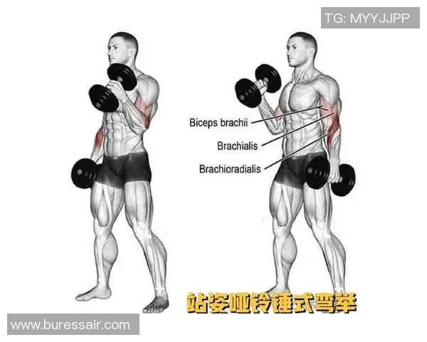 手臂哑铃锻炼方法详解图解助你塑造完美手臂线条与力量提升